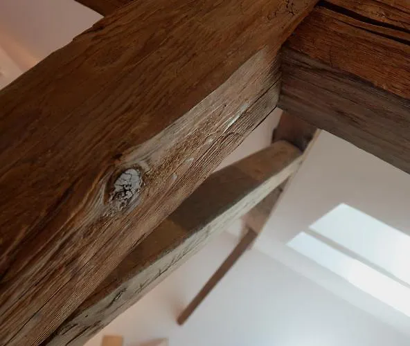 1568 בית הארחה קלוז'-נאפוקה