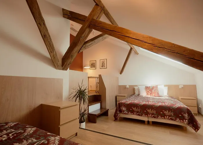 1568 3* Kluż-Napoka