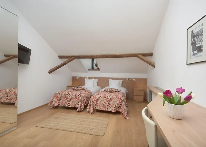 Pensjonat 1568 Kluż-Napoka